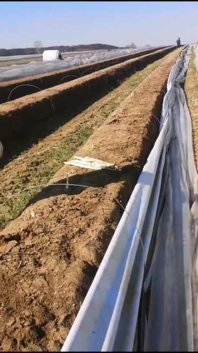 Cum se fac banii in Germania ... 10-20-30-40-100 de euro