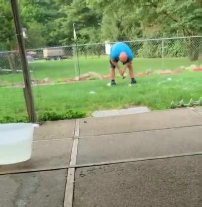 Trying to brush a husky