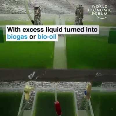 South Korea Recycle every piece of food waste.