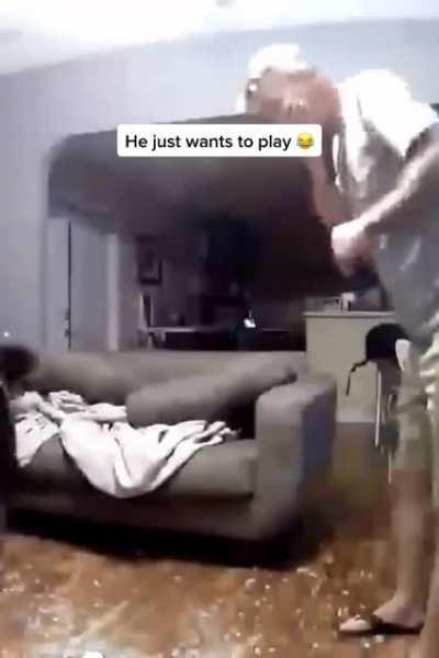 Play time with the good boy