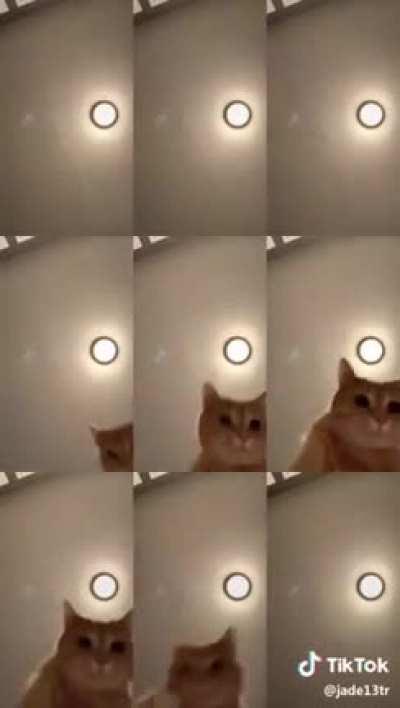 I can't stop watching this