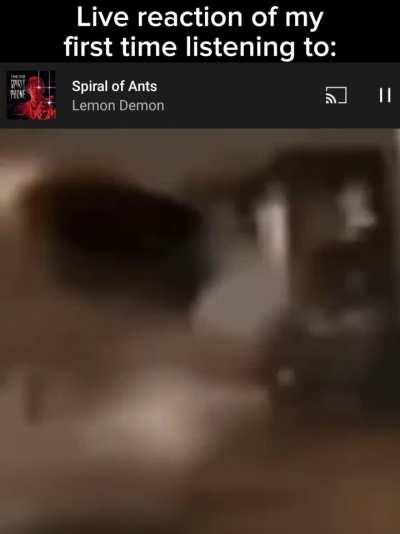 I like listening to Neil's songs at a worryingly high volume 