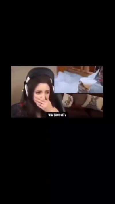 Sweet Anita Tries To Not Call JJ A N1GG3R💀😂