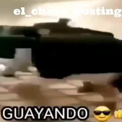 Guayando 😎👊