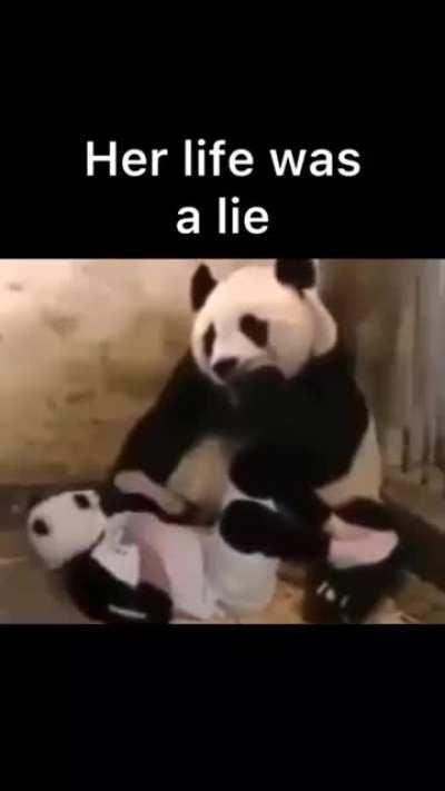 Does he learn kung fu after?