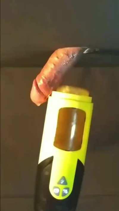 I got tired of milking by hand 😀