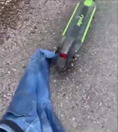 When a wolf falls into a trap, he chews off his own paw!