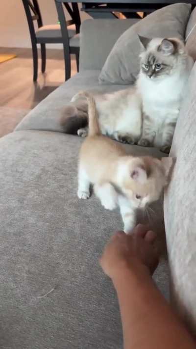 Playing with fingers