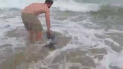 Awesome Dude rescues baby dolphin who is stranded on the beach