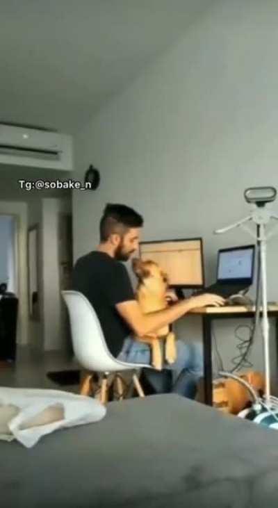When he is working but you want some attention too