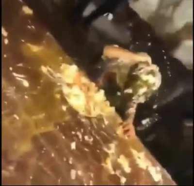 o Joker brasileiro 😐