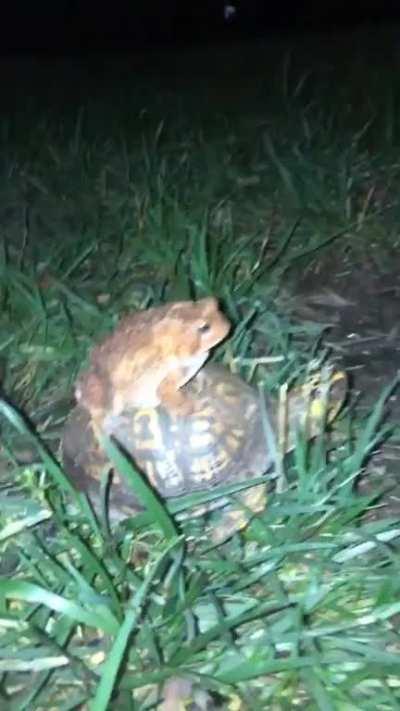 extremely important video below