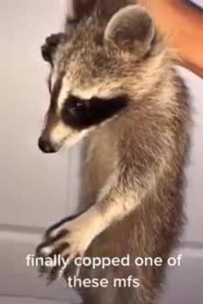 Got dat mf thang on me 😤😤😤