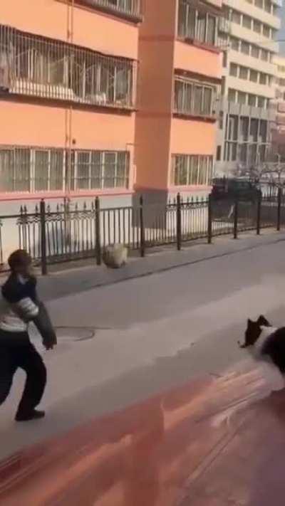 Boop Bop. you go I go