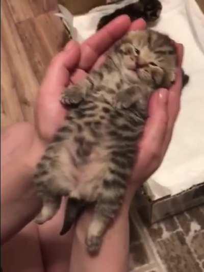 Okay. Good night, sleep tight, don't let the bed bugs bite😍