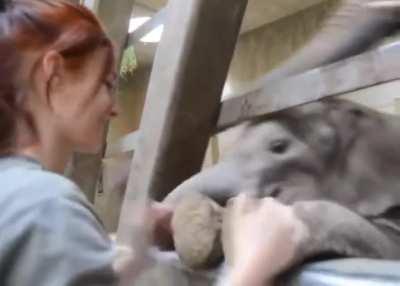 She can shake my trunk.