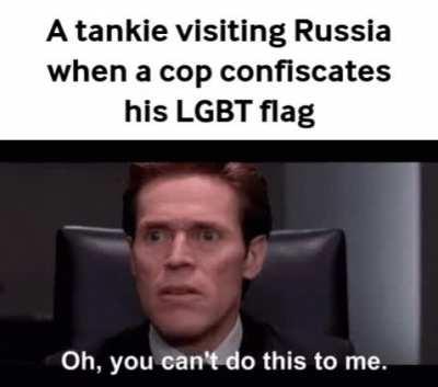 tankies finding out the soviet union was anti-gay