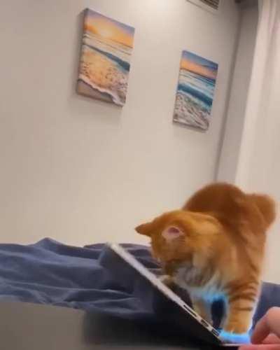 He's so excited and he just can't hide it