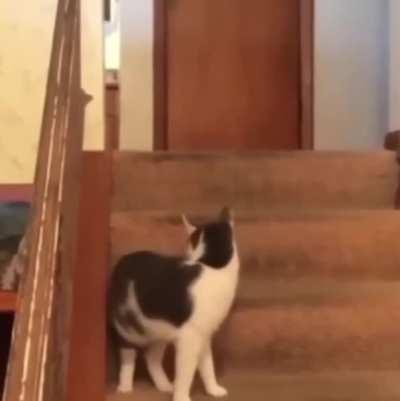 How do you turn it off again?