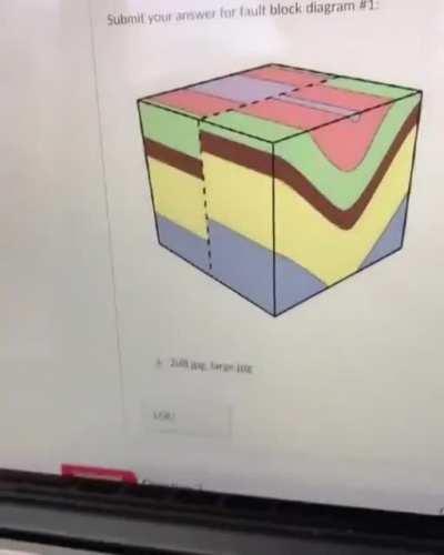 Guy is reviewing the results of his online exam.