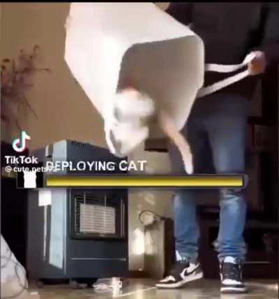 New Item Revealed???