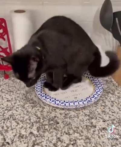 Не использовать верхнюю тарелку! Перчинка любит припарковать здесь свою задницу