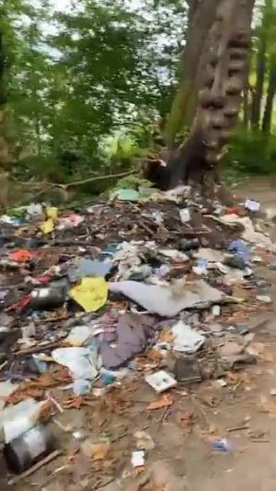 An out of town visitor was following her GPS to the e-line bus stop which took her through a needle infested park with booby traps. Luckily she had help getting escorted by We Heart Seattle.