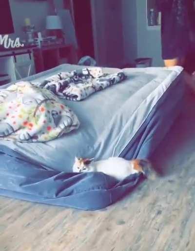 I'm 15 and this is yeet