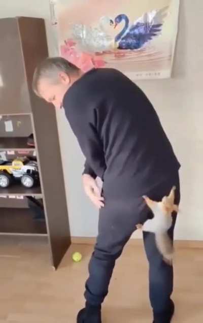 That’s the most squirrel game imaginable