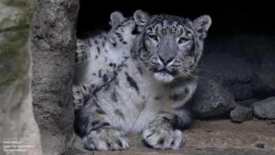 Do you see what I have to deal with?