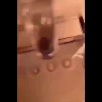 Pheonix is this you?