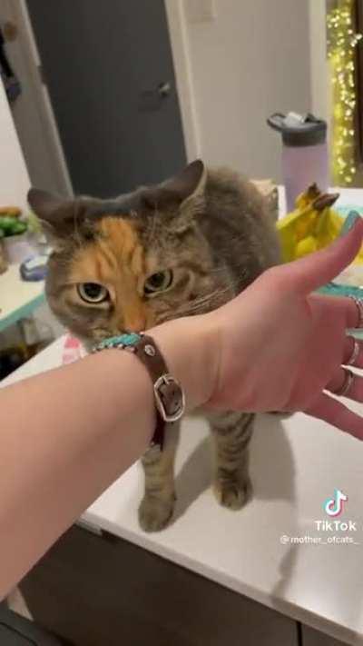 She definitely has a point.