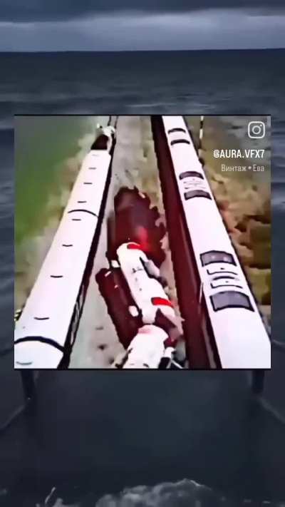 The people on the train: 💀☠️