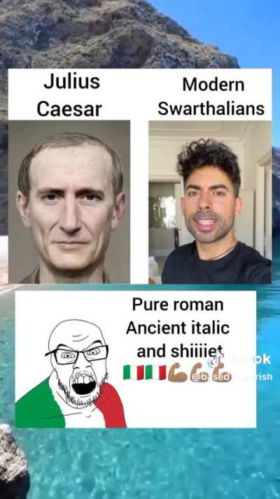 italian bros , what the hell happened?