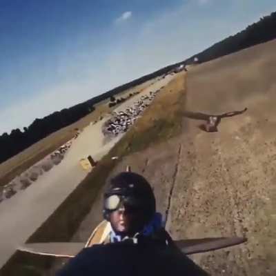 R/C airplane captures footage of bird of prey