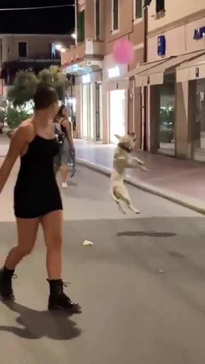 It's the little things in life