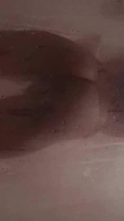 Showering w/ Kya I 🚿