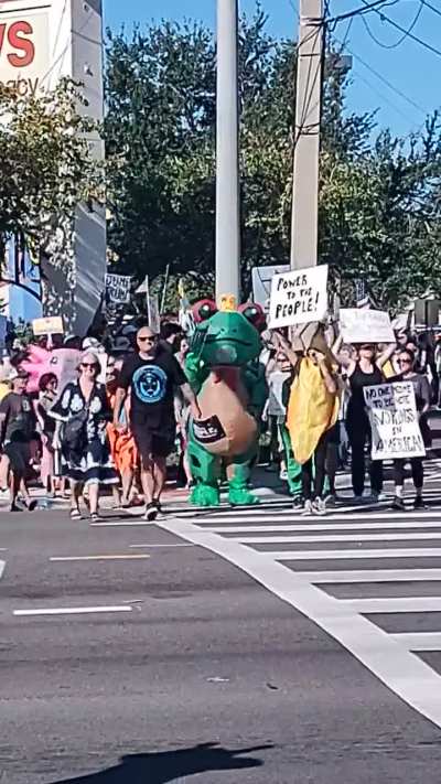 St. Petersburg - Tyrone Blvd in the House