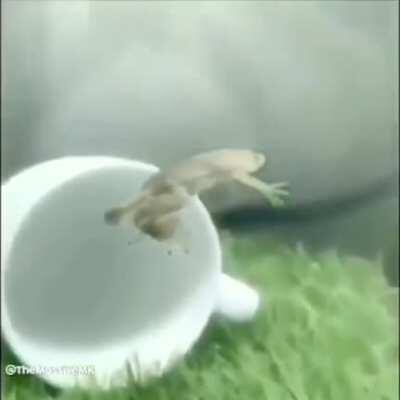 No se me ocurre un título creativo