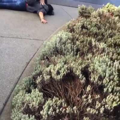 Cop chokes a woman to stop her from telling her husband's information