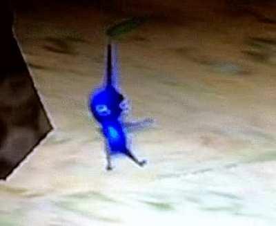 Hold up pikmin doing the funky