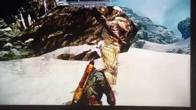 I think my frost troll is broken...