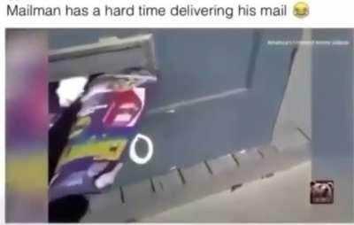 When you are alone and you have to get the mail.