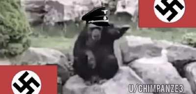 Ape at Berlin - 1937 - Colorized