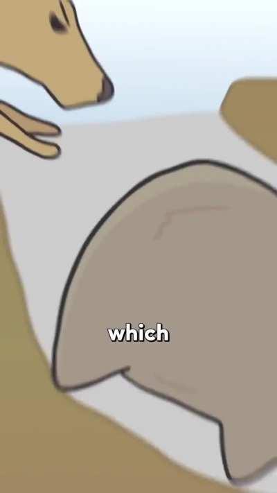 ARMOURED BUTT!! 🍑