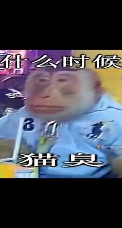 Haaaaaaaaaaaaaaaa 😎