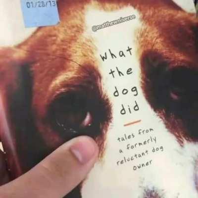 the prophecy is real WE FOUND WHAT THE DOG DOIN