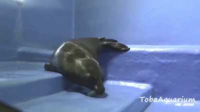 Niko falls down the stairs and cries like the stinky idiot he is 😂🫵