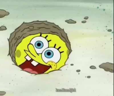 hi squidward wanna play?