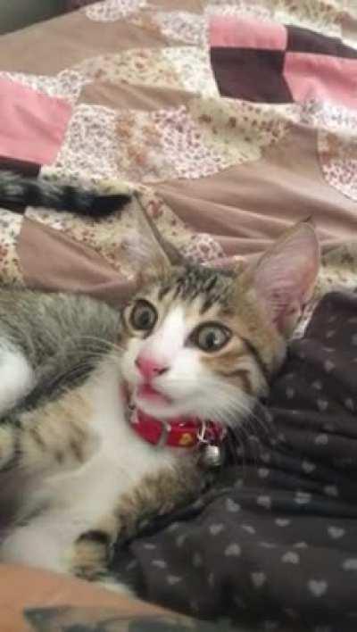 Wow okay no need to curse like that